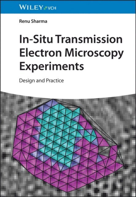 Renu Sharma - In-Situ Transmission Electron Microscopy Experiments, E-bok