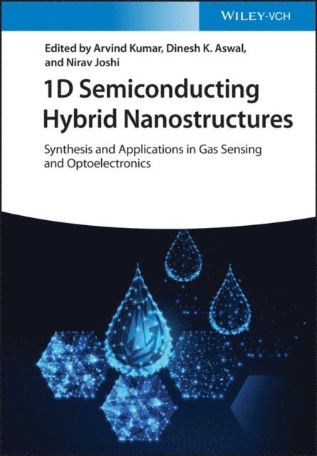 Nirav Joshi, Dinesh K. Aswal, Arvind Kumar - 1D Semiconducting Hybrid Nanostructures, E-bok