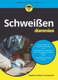 Schweiÿen für Dummies