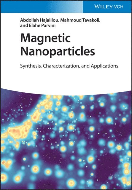 Elahe Parvini, Mahmoud Tavakoli, Abdollah Hajalilou - Magnetic Nanoparticles, E-bok