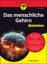 Das menschliche Gehirn fÃ¼r Dummies