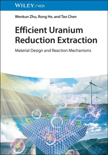 Tao Chen, Rong He, Wenkun Zhu - Efficient Uranium Reduction Extraction, E-bok