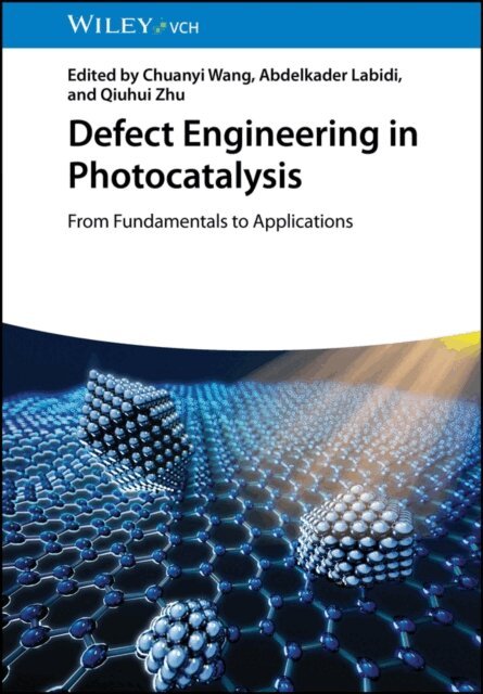 Qiuhui Zhu, Abdelkader Labidi, Chuanyi Wang - Defect Engineering in Photocatalysis, E-bok