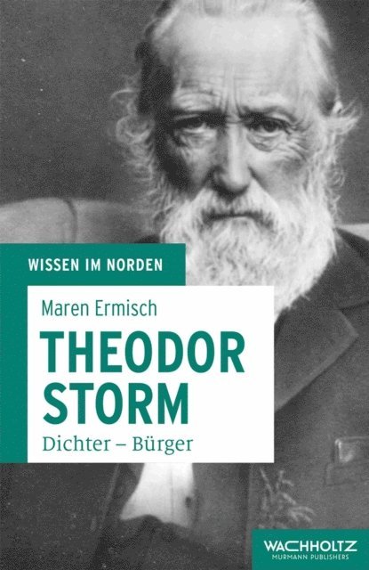 Maren Ermisch - Theodor Storm, E-bok