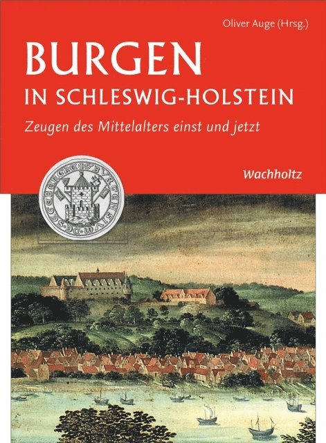 Oliver Auge - Burgen in Schleswig-Holstein, E-bok