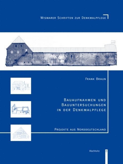 Frank Braun - Bauaufnahmen und Bauuntersuchungen in der Denkmalpflege, E-bok
