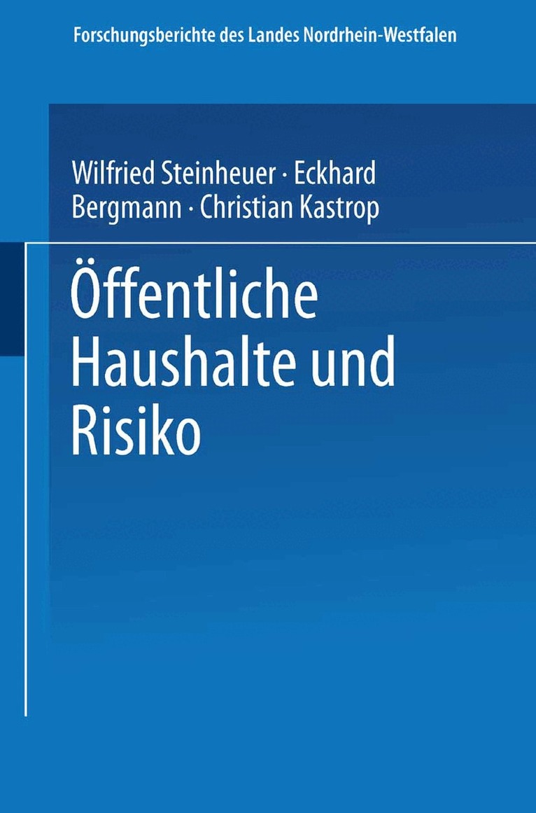 Eckhard Bergmann, Christian Kastrop, Wilfried Steinheuer - Öffentliche Haushalte und Risiko, Häftad