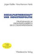 Sozialpartnerschaft und Industriepolitik