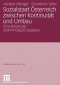Sozialstaat sterreich zwischen Kontinuitt und Umbau