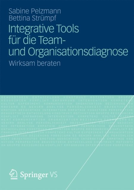 Bettina Strumpf, Sabine Pelzmann - Integrative Tools für die Team- und Organisationsdiagnose, E-bok