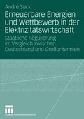 Erneuerbare Energien und Wettbewerb in der Elektrizitÿtswirtschaft