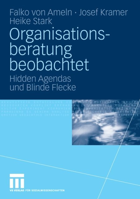 Heike Stark, Josef Kramer, Falko Ameln - Organisationsberatung beobachtet, E-bok
