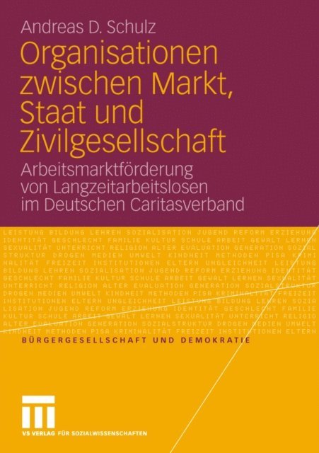 Andreas D. Schulz - Organisationen zwischen Markt, Staat und Zivilgesellschaft, E-bok