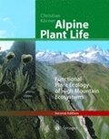 Alpine Plant Life