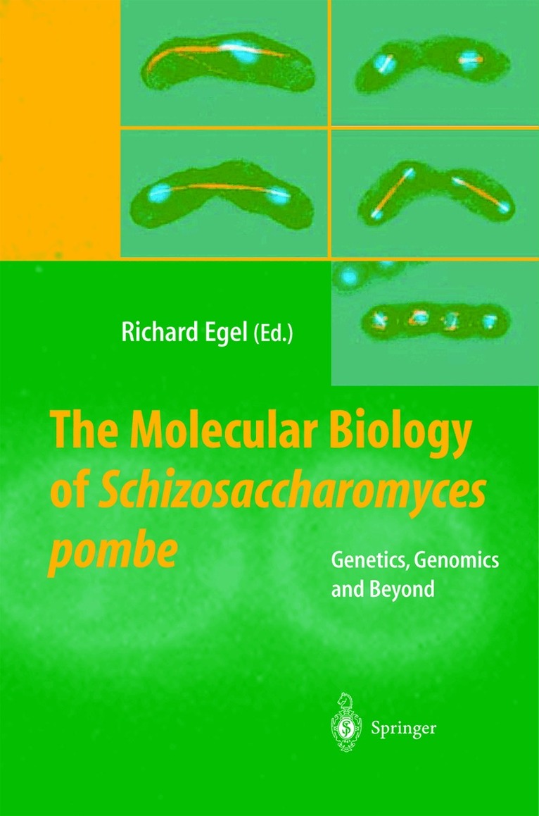 Richard Egel - Molecular Biology of Schizosaccharomyces pombe, Inbunden