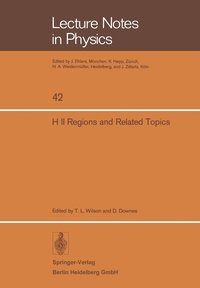 H II Regions and Related Topics