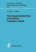The Female Genital Tract of the Shrew Crocidura russula