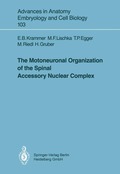 Motoneuronal Organization of the Spinal Accessory Nuclear Complex