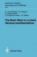 The Brain Stem in a Lizard, Varanus exanthematicus