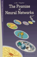 Promise of Neural Networks