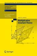 Multiplicative Invariant Theory