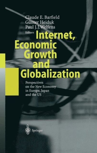 Paul J.J. Welfens, Gunter S. Heiduk, Claude E. Barfield - Internet, Economic Growth and Globalization, E-bok