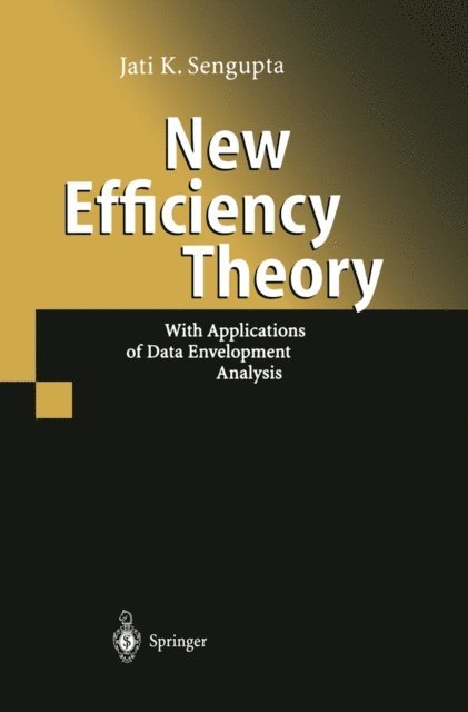 Jati Sengupta - New Efficiency Theory, E-bok