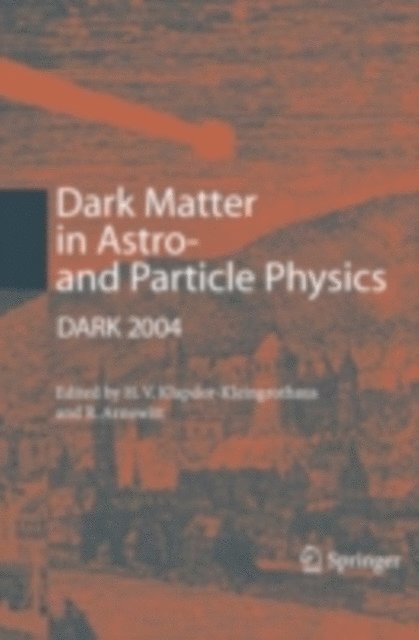 Richard Arnowitt, Hans-Volker Klapdor-Kleingrothaus - Dark Matter in Astro- and Particle Physics, E-bok