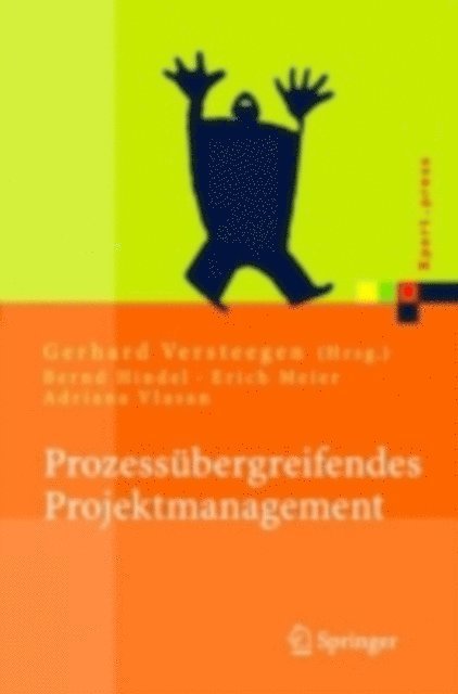 Gerhard Versteegen - Prozessübergreifendes Projektmanagement, E-bok