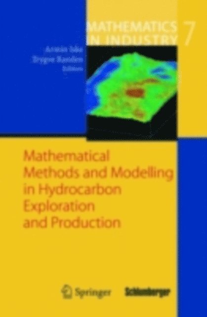 Trygve Randen, Armin Iske - Mathematical Methods and Modelling in Hydrocarbon Exploration and Production, E-bok