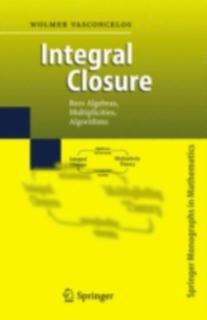 Wolmer Vasconcelos - Integral Closure, E-bok