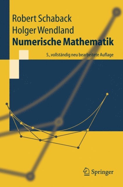 Holger Wendland, Robert Schaback - Numerische Mathematik, E-bok