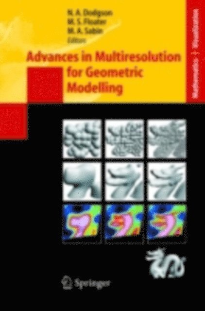 Malcolm Sabin, Michael S. Floater, Neil Dodgson - Advances in Multiresolution for Geometric Modelling, E-bok