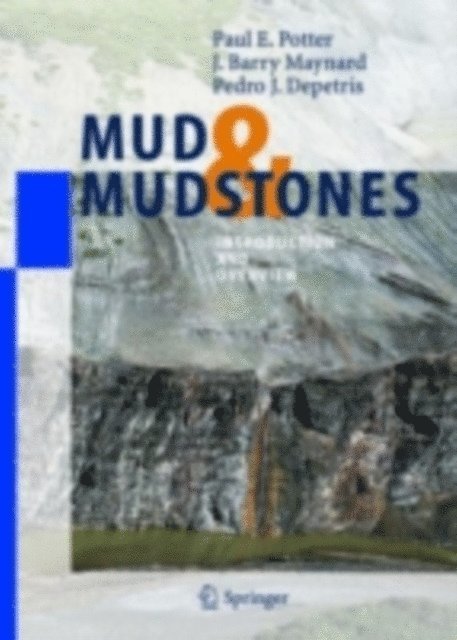 Pedro J. Depetris, J. B. Maynard, Paul E. Potter - Mud and Mudstones, E-bok