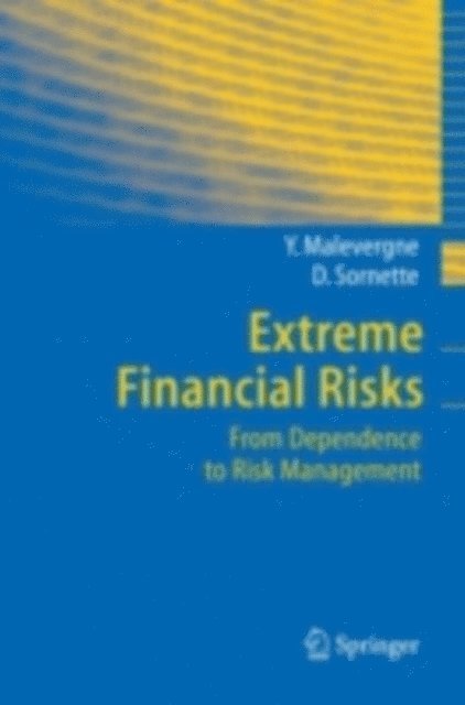Didier Sornette, Yannick Malevergne - Extreme Financial Risks, E-bok