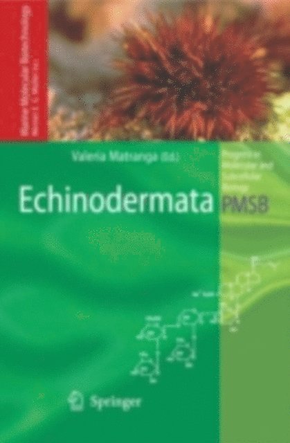Valeria Matranga - Echinodermata, E-bok