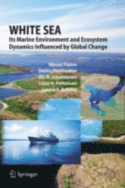 Leonid P. Bobylev, Lasse H. Pettersson, Olaf M. Johannessen, Dmitry Pozdnyakov, Nikolai Filatov - White Sea, E-bok