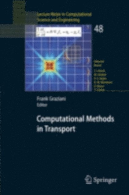 Frank Graziani - Computational Methods in Transport, E-bok