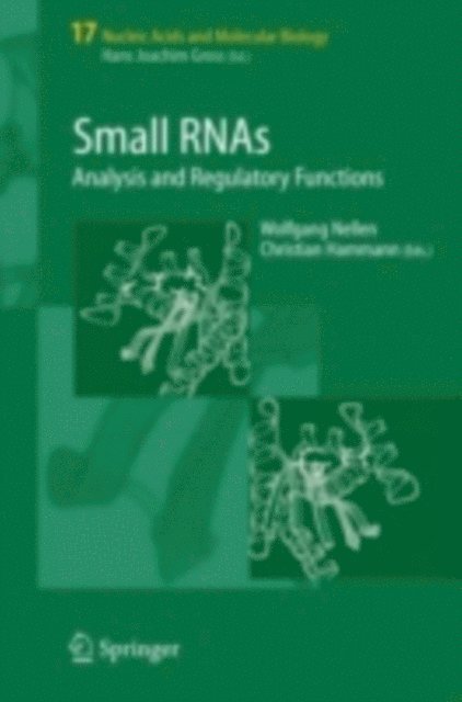 Christian Hammann, Wolfgang Nellen - Small RNAs:, E-bok