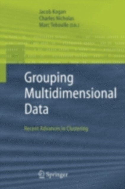 Marc Teboulle, Charles Nicholas, Jacob Kogan - Grouping Multidimensional Data, E-bok