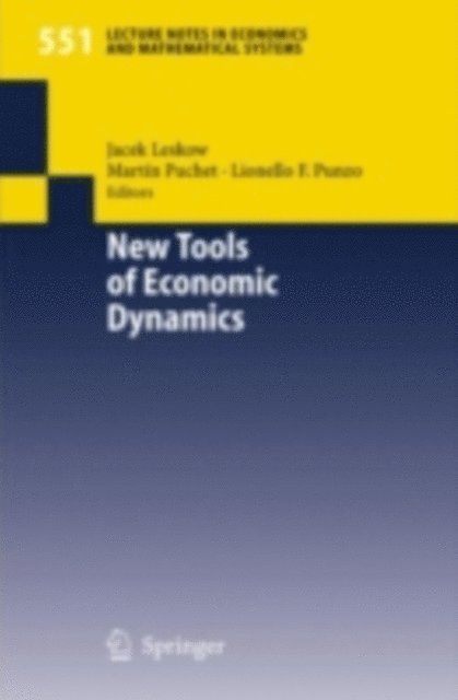 Lionello F. Punzo, Martin Puchet, Jacek Leskow - New Tools of Economic Dynamics, E-bok