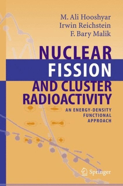 F. Bary Malik, Irwin Reichstein, M.A. Hooshyar - Nuclear Fission and Cluster Radioactivity, E-bok