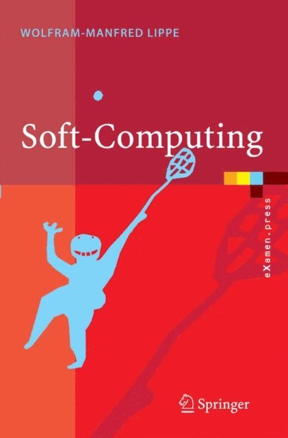 Wolfram-Manfred Lippe - Soft-Computing, E-bok