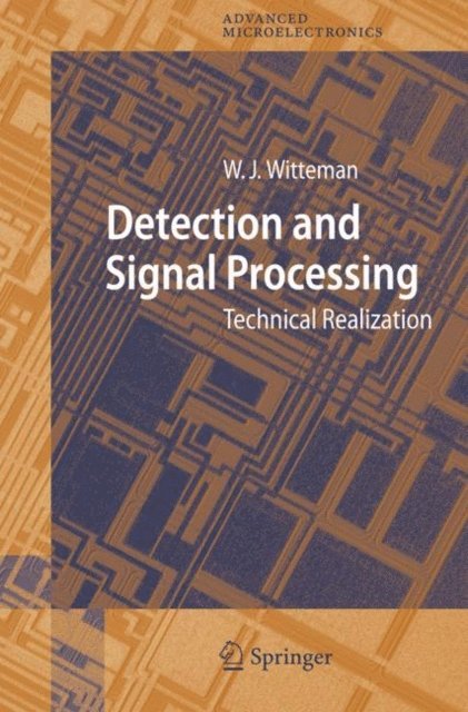 Wilhelmus Jacobus Witteman - Detection and Signal Processing, E-bok