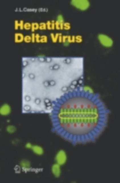 John L. Casey - Hepatitis Delta Virus, E-bok. Tillgänglighet: Lägg i varukorg