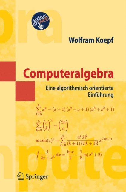 Wolfram Koepf - Computeralgebra, E-bok