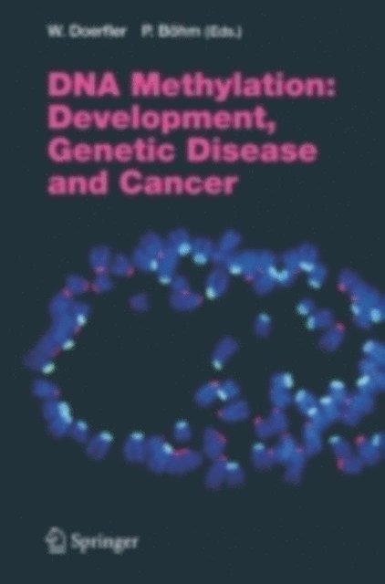 Petra Bohm, Walter Doerfler - DNA Methylation: Development, Genetic Disease and Cancer, E-bok