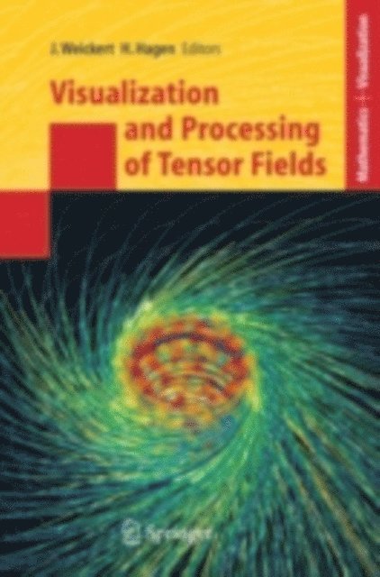 Hans Hagen, Joachim Weickert - Visualization and Processing of Tensor Fields, E-bok