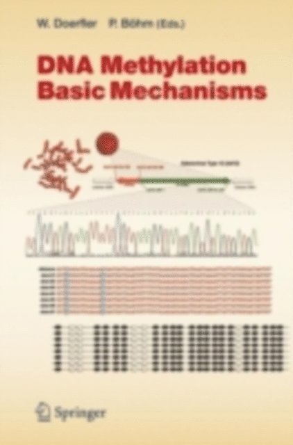Petra Bohm, Walter Doerfler - DNA Methylation: Basic Mechanisms, E-bok