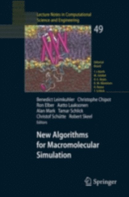 Robert Skeel, Christoph Schutte, Tamar Schlick, Alan Mark, Aatto Laaksonen, Ron Elber, Christophe Chipot, Benedict Leimkuhler - New Algorithms for Macromolecular Simulation, E-bok